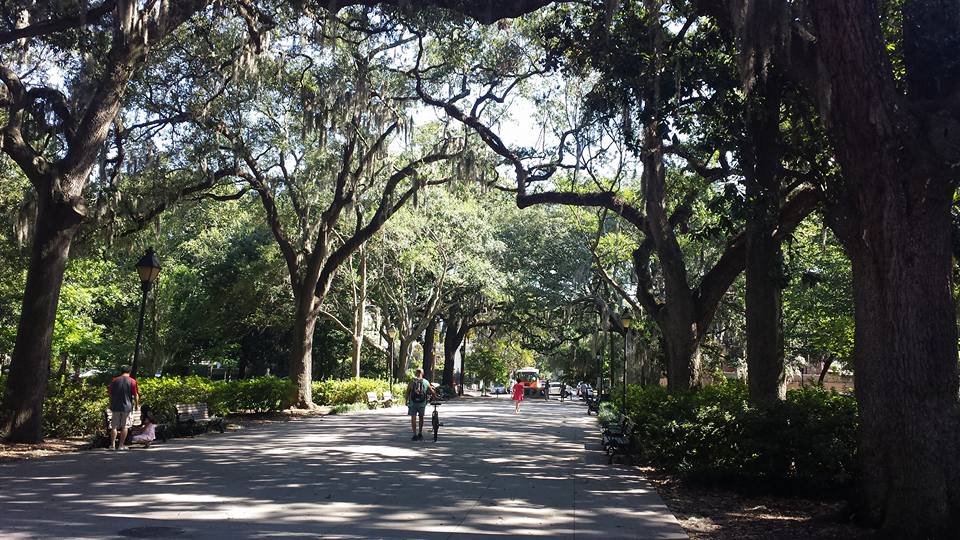 13707565_10154285610785688_5182410546626876869_n[1]